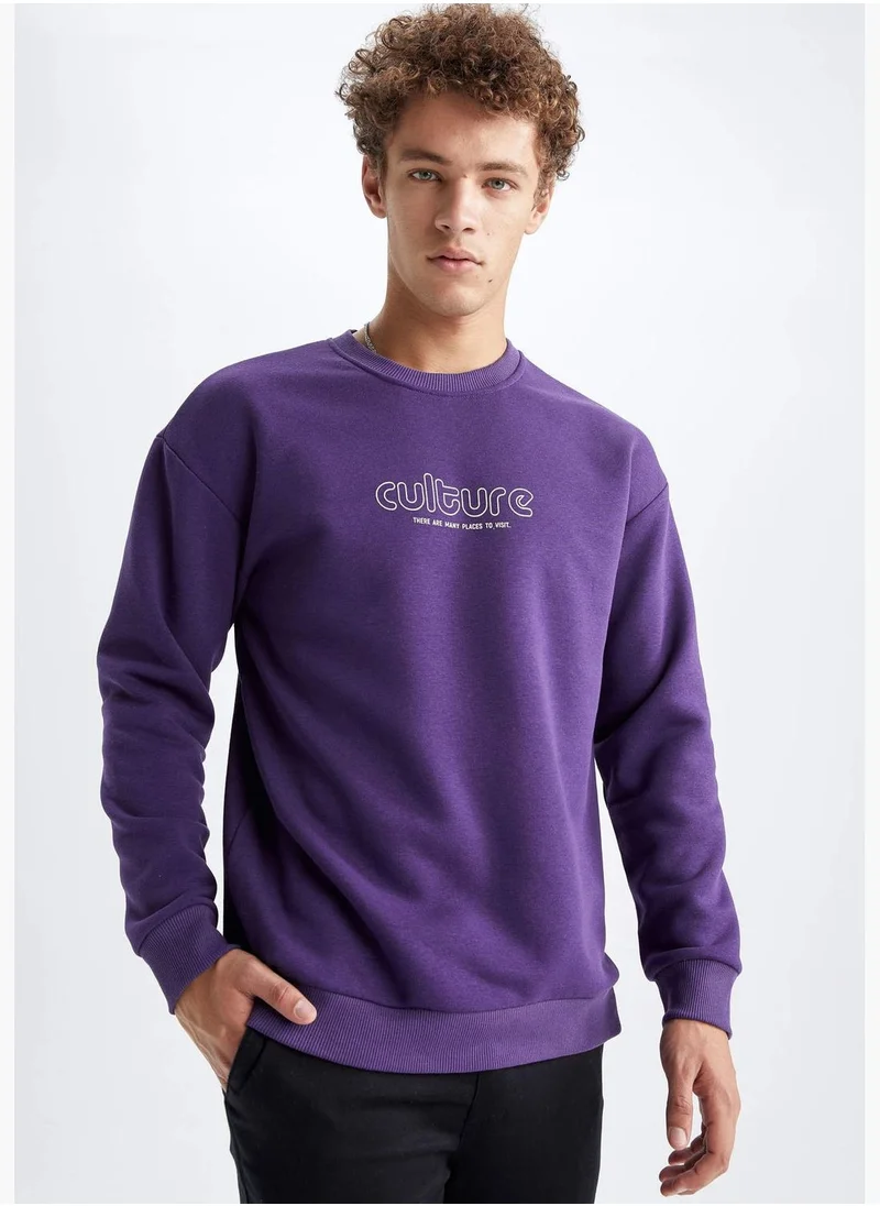 DeFacto Man Crew Neck Knitted Sweatshirt