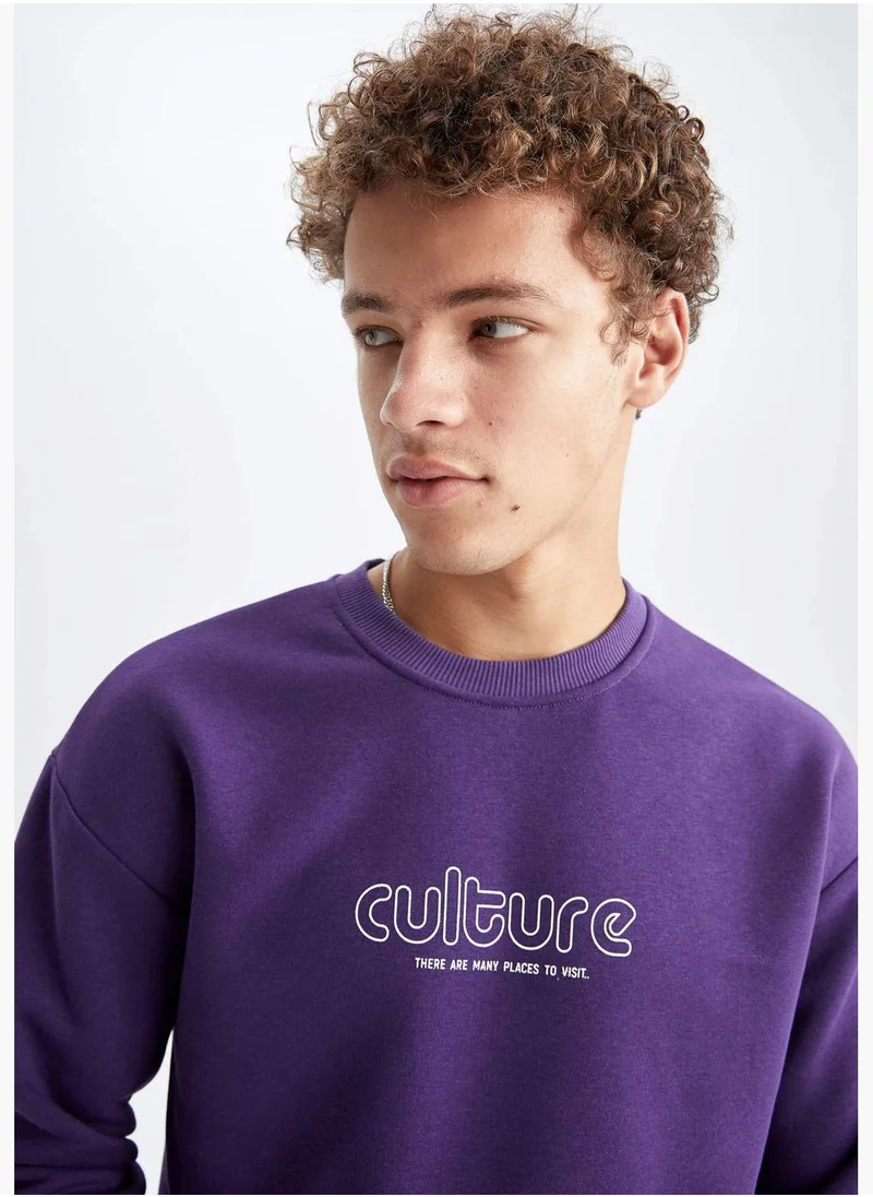 DeFacto Man Crew Neck Knitted Sweatshirt