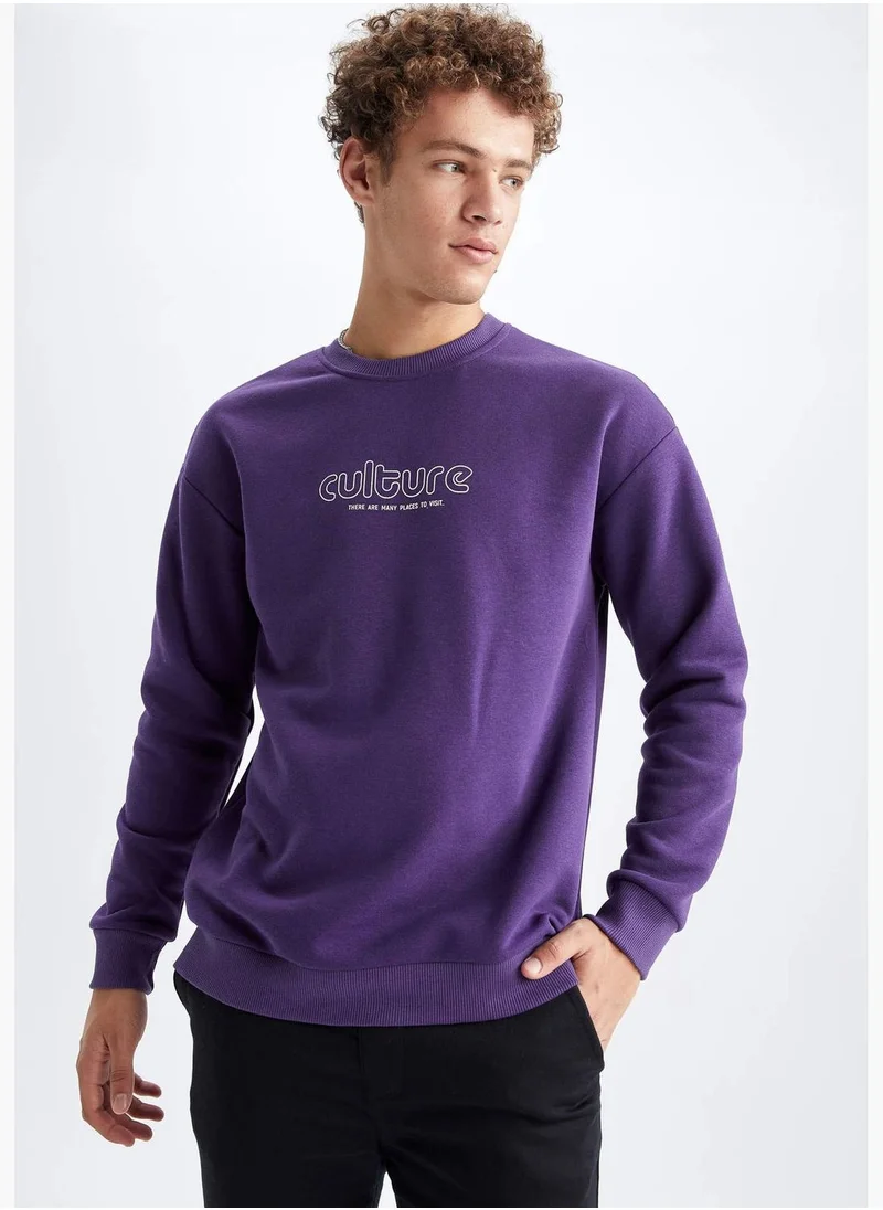 DeFacto Man Crew Neck Knitted Sweatshirt