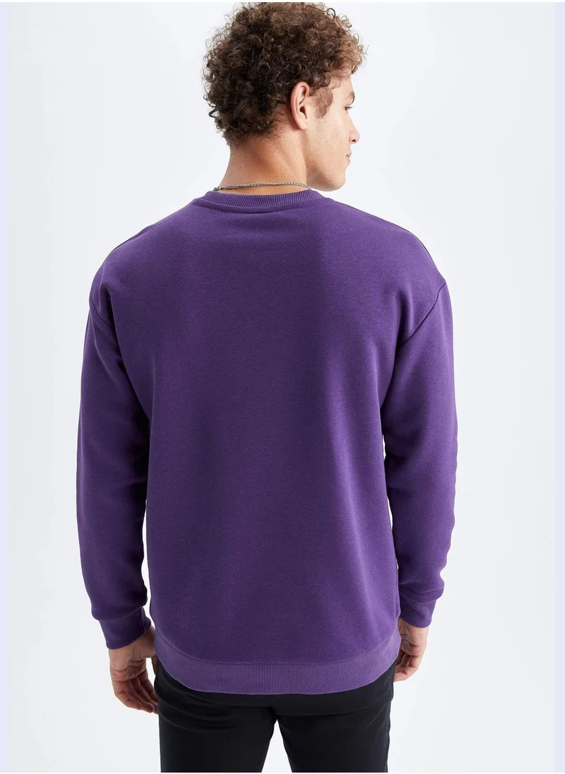 DeFacto Man Crew Neck Knitted Sweatshirt