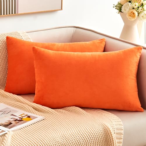 GriNeed Fall Orange Throw Pillow Covers Decorative Velvet Set of 2 12x20 Inch Pillow Covers Burnt Orange Lumbar Pillowcases for Couch Sofa Bed Living Room Farmhouse Boho Decor Accent Cushion Cover