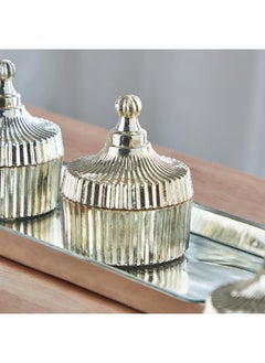 4 Piece Ribbed Metallic Decorative Jar Set With Tray - pzsku/ZB4915D937372700D962FZ/45/_/1720281711/80525d1c-492e-4cd6-9f9d-0369ca20add2