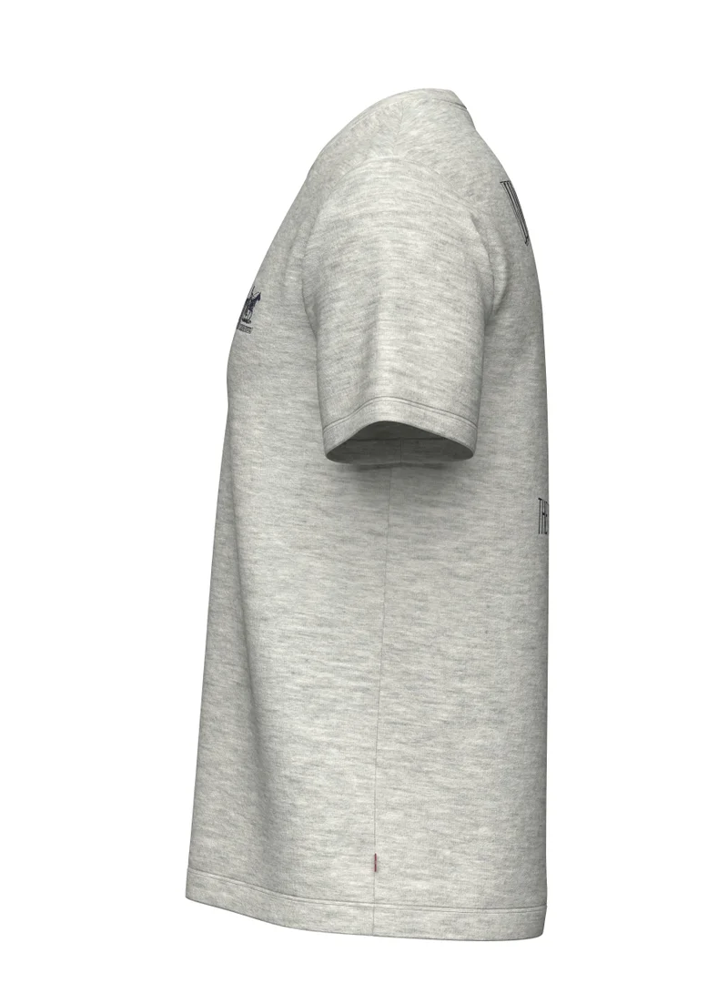 Levi's  Graphic Crewneck Tee for Men | Best Price UAE