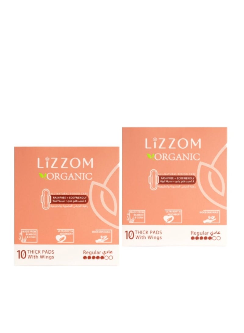 LiZZOM فوط ليلية سميكة عضوية من ليزوم (عبوة من قطعتين) - مقاس عادي بأجنحة - 20 قطعة. ملمس جاف | خالية من البلاستيك | مضادة للبكتيريا | خالية من الروائح والطفح الجلدي. - Image 1