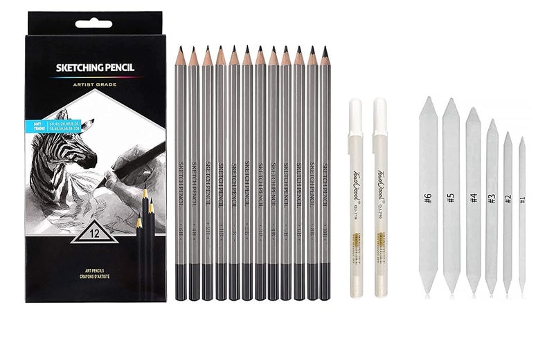 KANBI Art Sketching Pencils Set of 12 Pencils Artist Grade Degree Pencils 10B 8B 6B 5B 4B 3B 2B B HB 2H 4H and 6H with 6 Stumps and 2 White Gel Pen