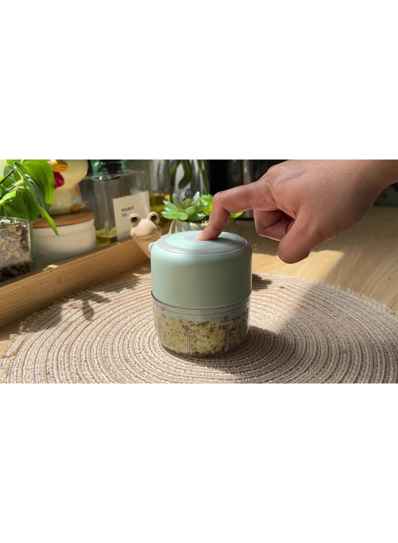 joybuy Baby Food Machine, Mini Garlic Stirrer-Electric Small Food Processor With USB Rechargeable - Image 5