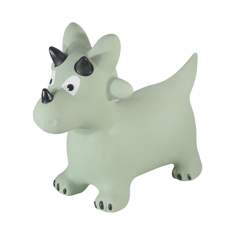 Kindsgut Bouncy Animal Hopper Dino for Children Designed in Germany Playful and Modern Colors air Pump Included Indoors and Outdoors - Image 3