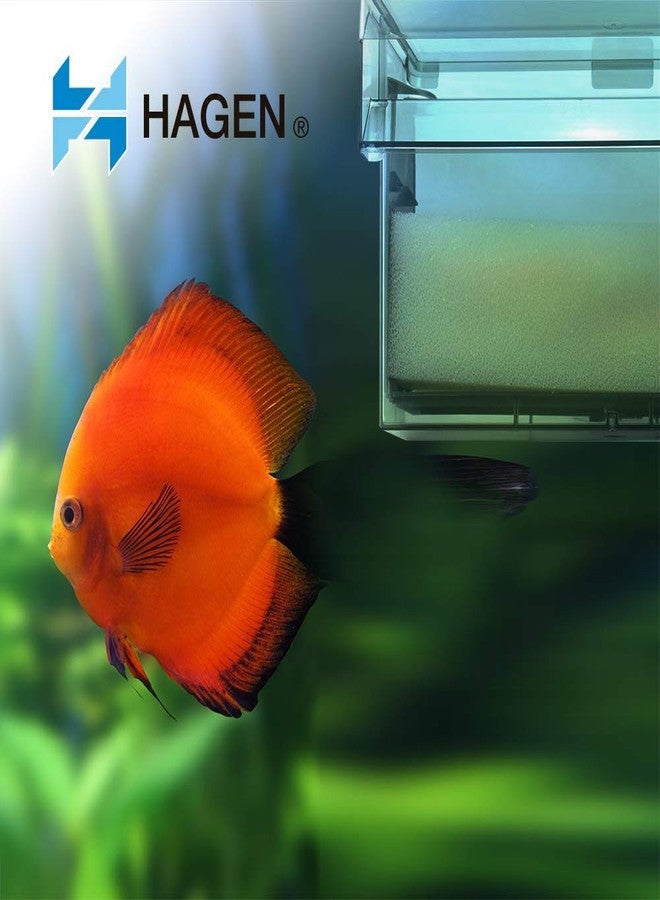 اكواكلير رغوة أكواكلير 70 - Image 4