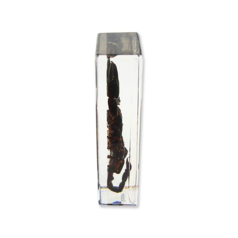 REALBUG Black Scorpion Paperweight (4.4x1.6x1.1) - Image 2