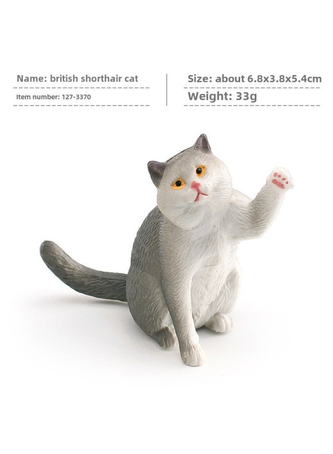 Children's Mini Simulation Pet Cat Model Orange Cat Fat Cat British Short-haired Cat Pastoral Cat Decorative Ornaments-Color:Pl127-3370 British Shorthair Cat 33g  - Image 1