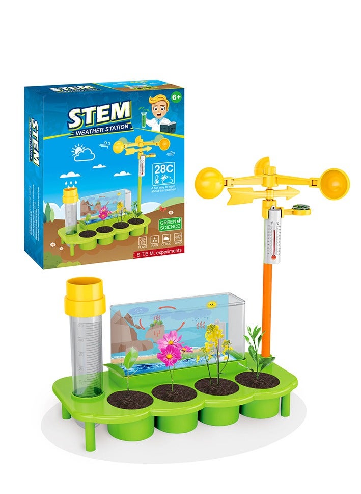 STEM Plant Ecological Weather Station Games,Science and Physics home chemical lab Educational Game for kids and It is an educational game that helps focus, creativity,Children's DIY 6+ Years - Image 1