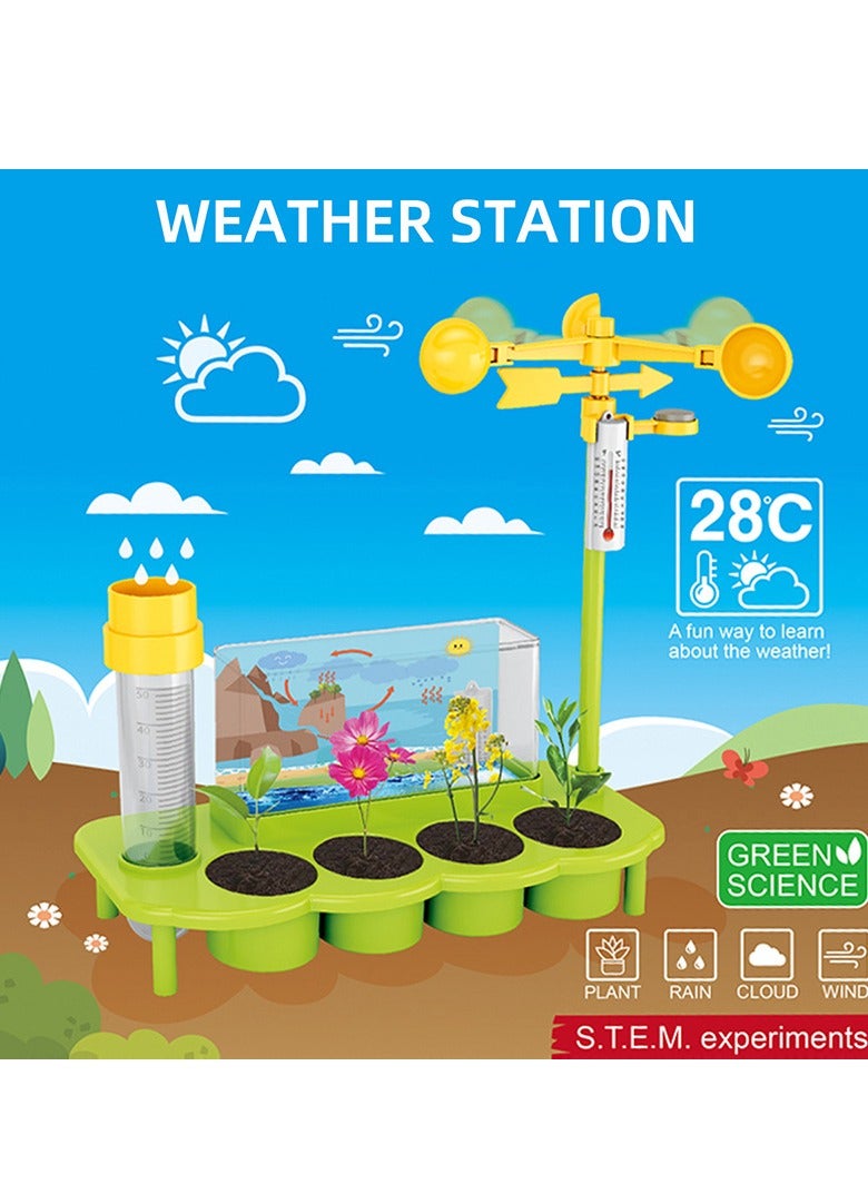 STEM Plant Ecological Weather Station Games,Science and Physics home chemical lab Educational Game for kids and It is an educational game that helps focus, creativity,Children's DIY 6+ Years - Image 2
