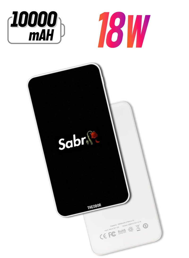 Theodor 10,000 mAh Super Fast Charging Ultra Compact Power Bank with Quick Charge & Power Delivery, Portable Charger For iPhone and Android Sabr - Image 1