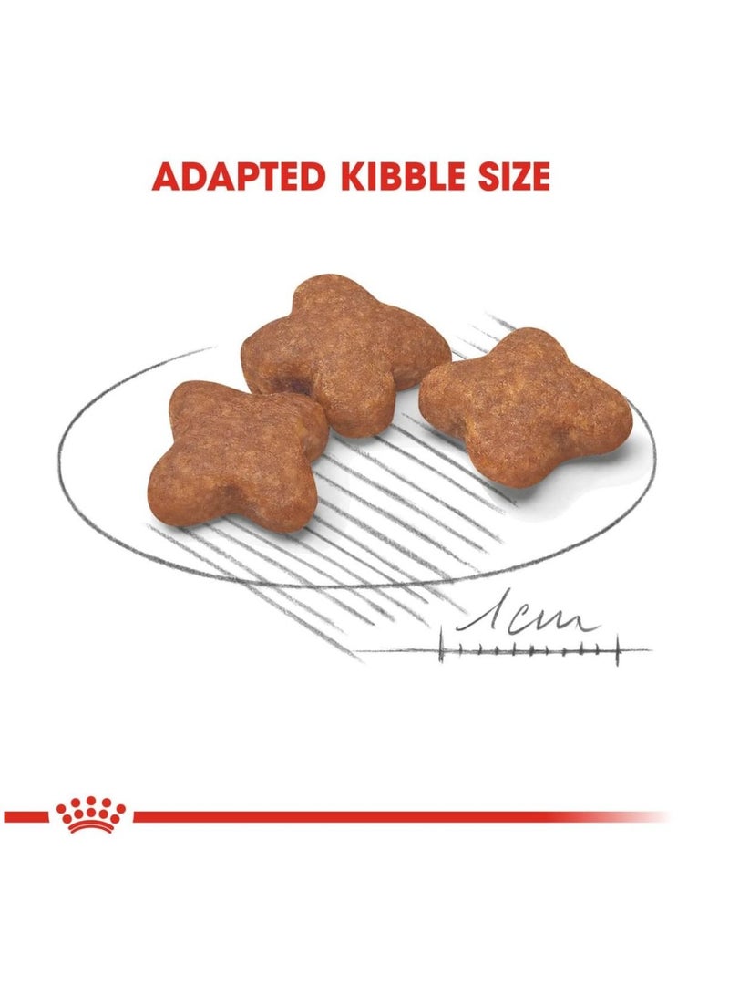 ROYAL CANIN طعام جاف للكلاب البالغة بحجم صحي 8+ 2 كجم - Image 4