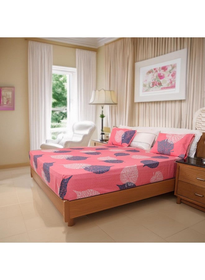 Status Contract 2024 Cotton Rich Double Fitted Bedsheet with 2 Pillow Covers for Bed Room, Home, Hotel-120 GSM (Peach) - Image 3