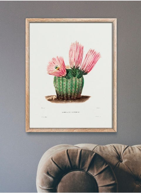 Rainbow Cactus (Botanical Lithograph by French Botanist Charles Antoine Lemaire) A4 A3 A2 High resolution giclee art print, also available framed