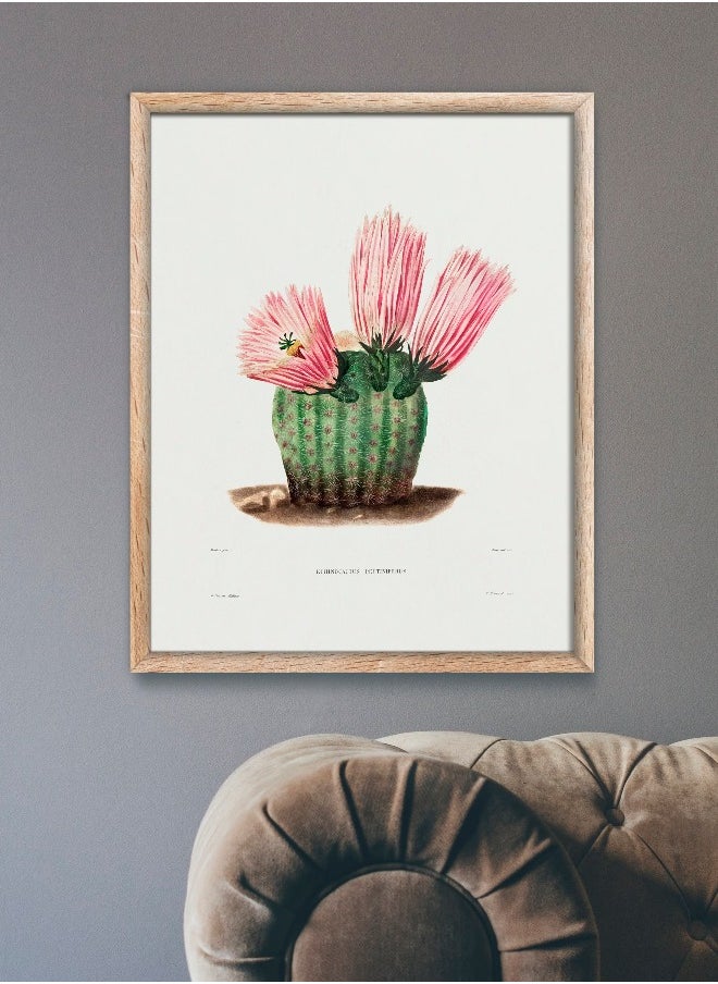 Generic - Rainbow Cactus (Botanical Lithograph by French Botanist Charles Antoine Lemaire) A4 A3 A2 High resolution giclee art print, also available framed - Image 1