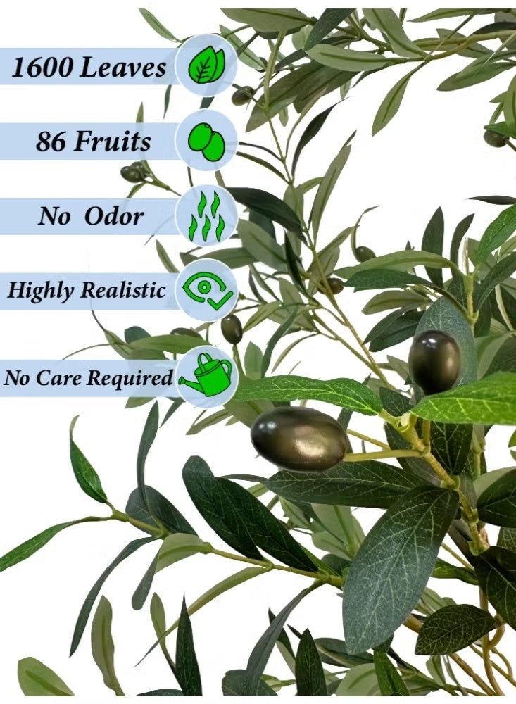 Tala 85 cm Artificial Olive Tree with Natural-Looking Design – A Beautiful Touch for Indoor Decoration - Image 4