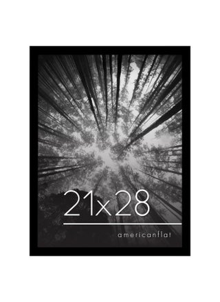 Americanflat 21x28 Poster Frame with Polished Plexiglass - Black Picture Frame with Engineered Wood - Epic Collection - Wide Photo Frame for Wall Display - pzsku/ZB49ED7F52D6E4EFA154CZ/45/_/1736426632/b740fde9-d277-4453-863d-62b0165d48d6