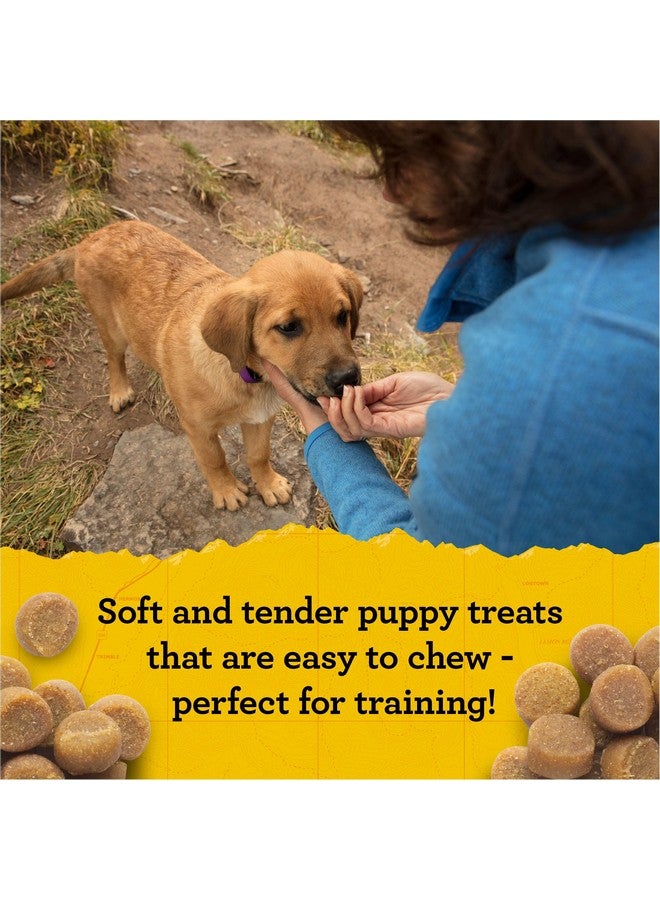 Zuke's Zuke’S Puppy Naturals Bag Of Soft Puppy Treats For Training, Natural Dog Treats Bites With Salmon Recipe  5.0 Oz Bag - Image 5