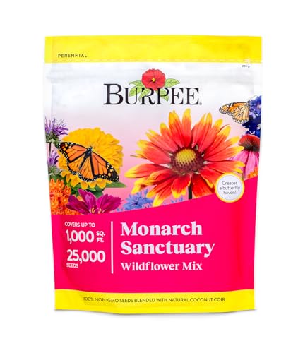 Burpee Wildflower Mix Monarch Sanctuary Seeds | 25,000 Non-GMO Seeds, 3 Types of Butterfly Weed Plus Cornflower, Lupine, Echinacea, and More | Pollinator Garden Attracts Monarch Butterflies - Image 1