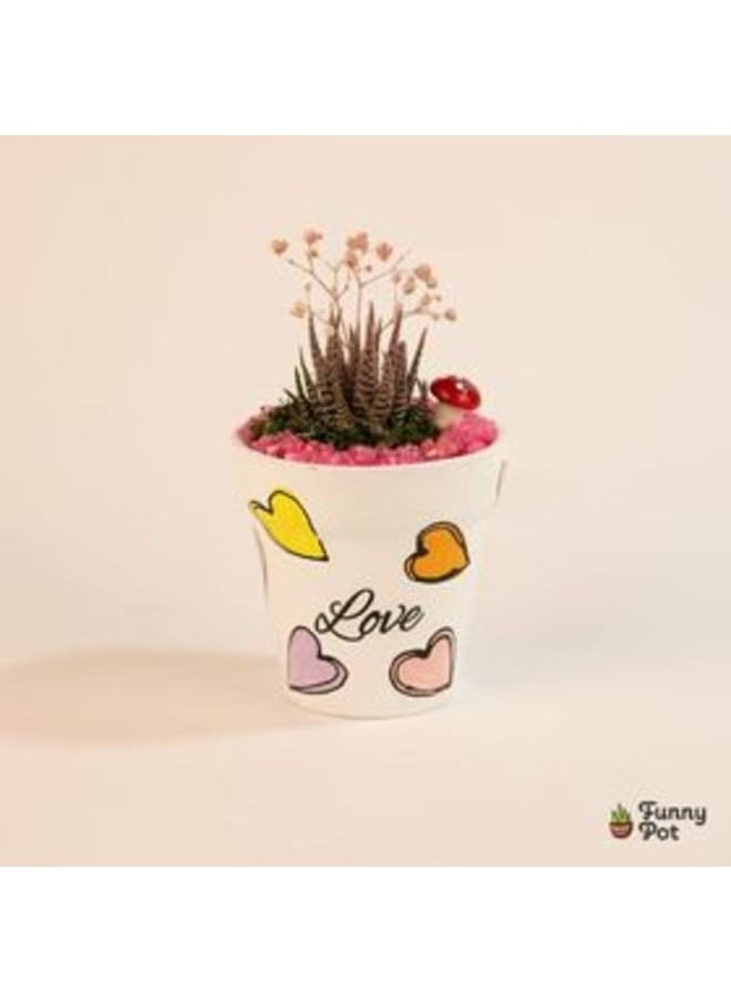 فاني بوت بوت صبار طبيعي 