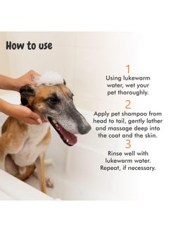 Harrods Bscly Itch Calm Dog Shampoo with Neem, Lemongrass & Aloe | Dog Shampoo for Pomeranian, Shih tzu Puppy, German Shepherd, Labrador & Golden Retriever, Dogs Shampoo | 500ml  - Image 3