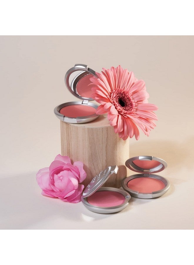 T. LeClerc Powder Blush - Professional High Impact All-Day Wear Flush of Color, Natural & Smooth Makeup Buildable Mineral - No Caking, Blends Easily & Contours Cheeks Made In France (Brun Rosé) - Image 3