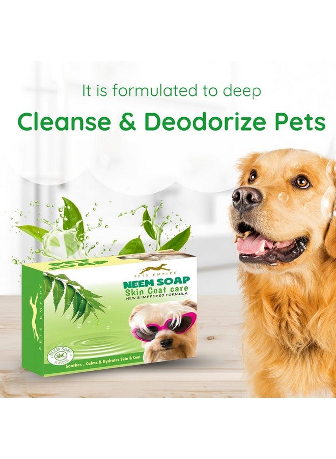بتس إمباير صابون طبيعي للكلاب مصنوع يدويًا، 100 جرام (عبوة من 3 قطع) - صابون لطيف ومغذي بزيت النيم للحيوانات الأليفة من أجل بشرة وفراء صحيين | صابون عضوي مضاد للبكتيريا والفطريات للعناية بالكلاب لجميع السلالات - Image 4
