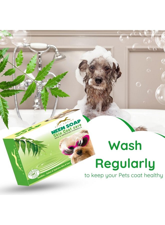 بتس إمباير صابون طبيعي للكلاب مصنوع يدويًا، 100 جرام (عبوة من 3 قطع) - صابون لطيف ومغذي بزيت النيم للحيوانات الأليفة من أجل بشرة وفراء صحيين | صابون عضوي مضاد للبكتيريا والفطريات للعناية بالكلاب لجميع السلالات - Image 1