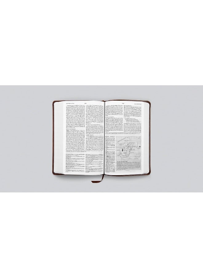 ESV الكتاب المقدس المختصر للدراسة (تروتون، بني) - Image 3