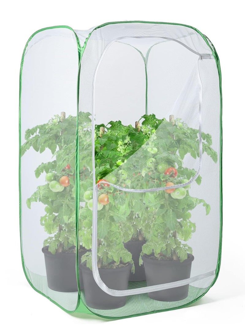 KASTWAVE 36" Outdoor Mesh Plant Enclosure, Plant Cover for Pests, Bird and Pest Protection Guard for Fruit, Vegetables, Flowers and Herbs Pop-Up Cage 24 x 24 x 36 Inches - Image 1