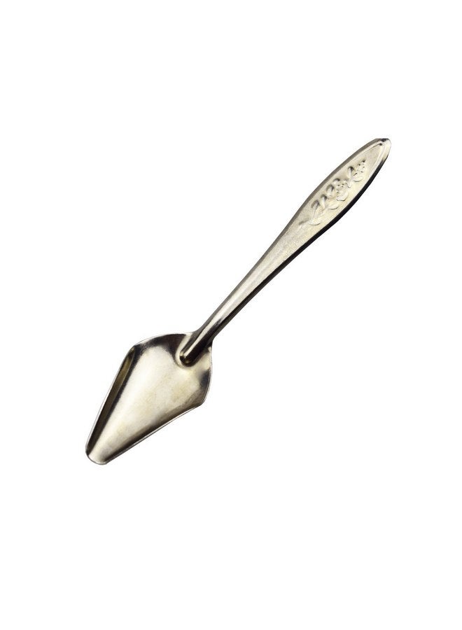 Motanar Motanar 4.7" Bird Parrot Stainless Steel Metal Feeding Spoon,Special Feeding Scoop Medicine Spoons Hand Feeding Spoons for Peony Cockatiel Parrot (1 PCS)  - Image 3