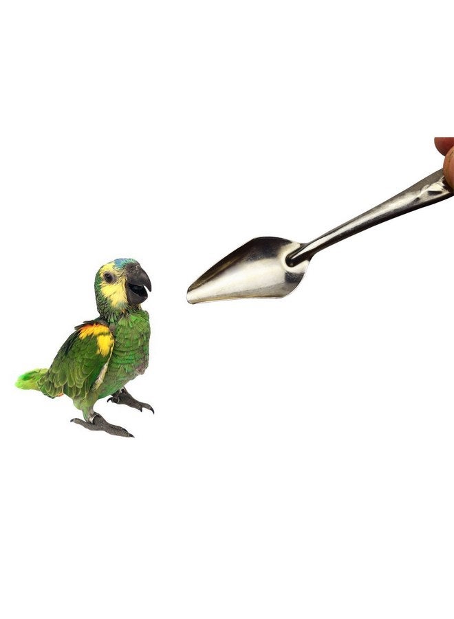 Motanar Motanar 4.7" Bird Parrot Stainless Steel Metal Feeding Spoon,Special Feeding Scoop Medicine Spoons Hand Feeding Spoons for Peony Cockatiel Parrot (1 PCS)  - Image 4