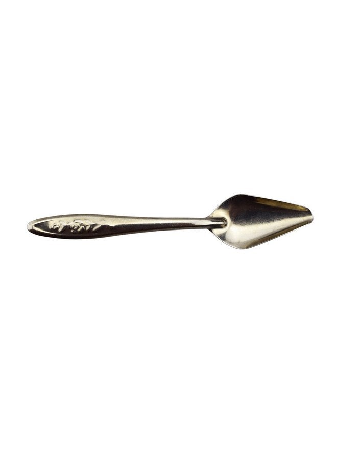 Motanar Motanar 4.7" Bird Parrot Stainless Steel Metal Feeding Spoon,Special Feeding Scoop Medicine Spoons Hand Feeding Spoons for Peony Cockatiel Parrot (1 PCS)  - Image 2
