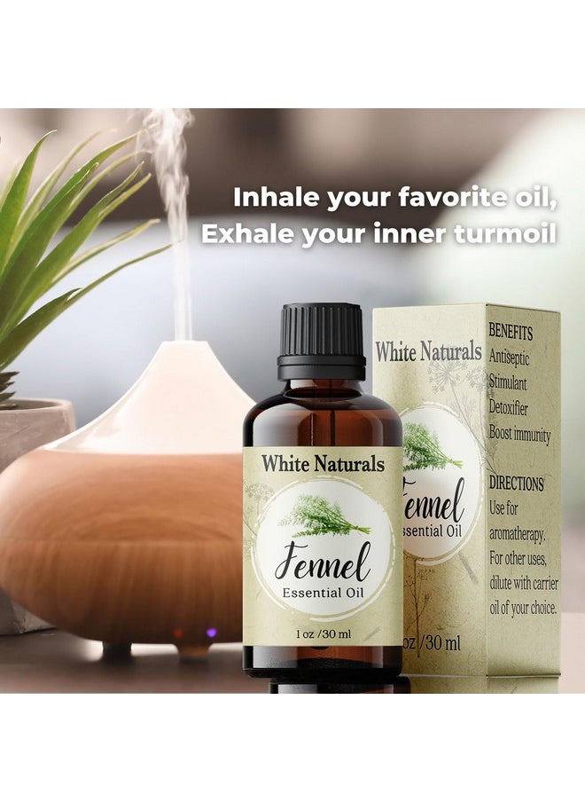 White Naturals - Organic Fennel Essential Oil For Digestion Sweet Fennel Seed Oil For Congestion Relief & Uplift Mood 100% Pure Undiluted Therapeutic Grade For Aromatherapy Glowing Skin Strengthened Hair 1Oz - Image 1