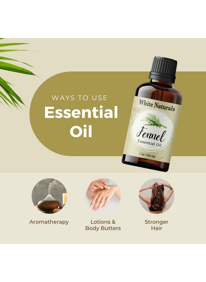 White Naturals - Organic Fennel Essential Oil For Digestion Sweet Fennel Seed Oil For Congestion Relief & Uplift Mood 100% Pure Undiluted Therapeutic Grade For Aromatherapy Glowing Skin Strengthened Hair 1Oz - Image 1