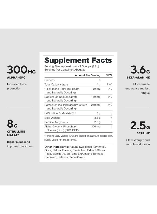 Legion PULSE Stim-Free Pre-Workout  | Green Apple Flavor | Strength, endurance, & focus, 8 grams of citrulline malate, 3.6 grams of beta-alanine 20 SERVINGS | DIETARY SUPPLEMENT | NET WT 448 G / 15.8 oz / 0.98 LBS - Image 2