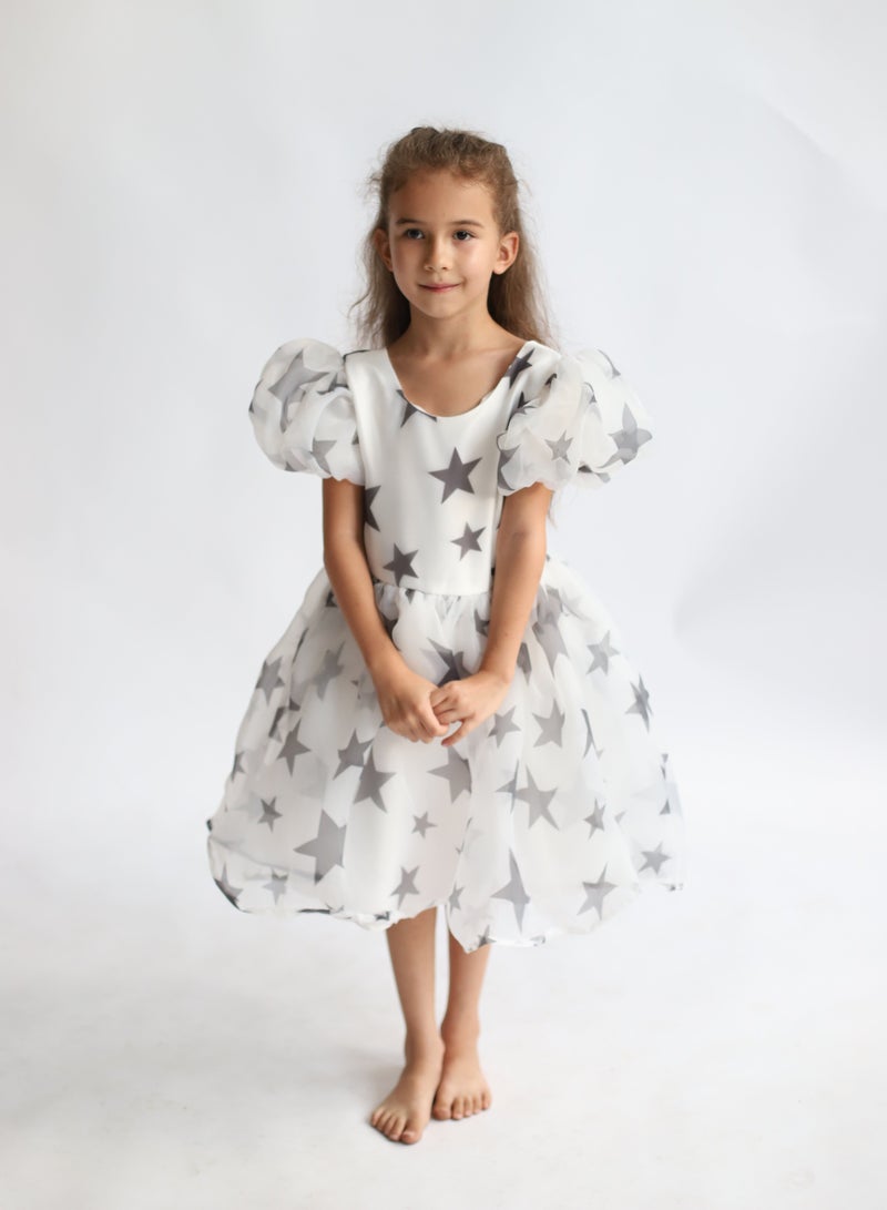 D'Daniela Starry Organza Dress - Image 1
