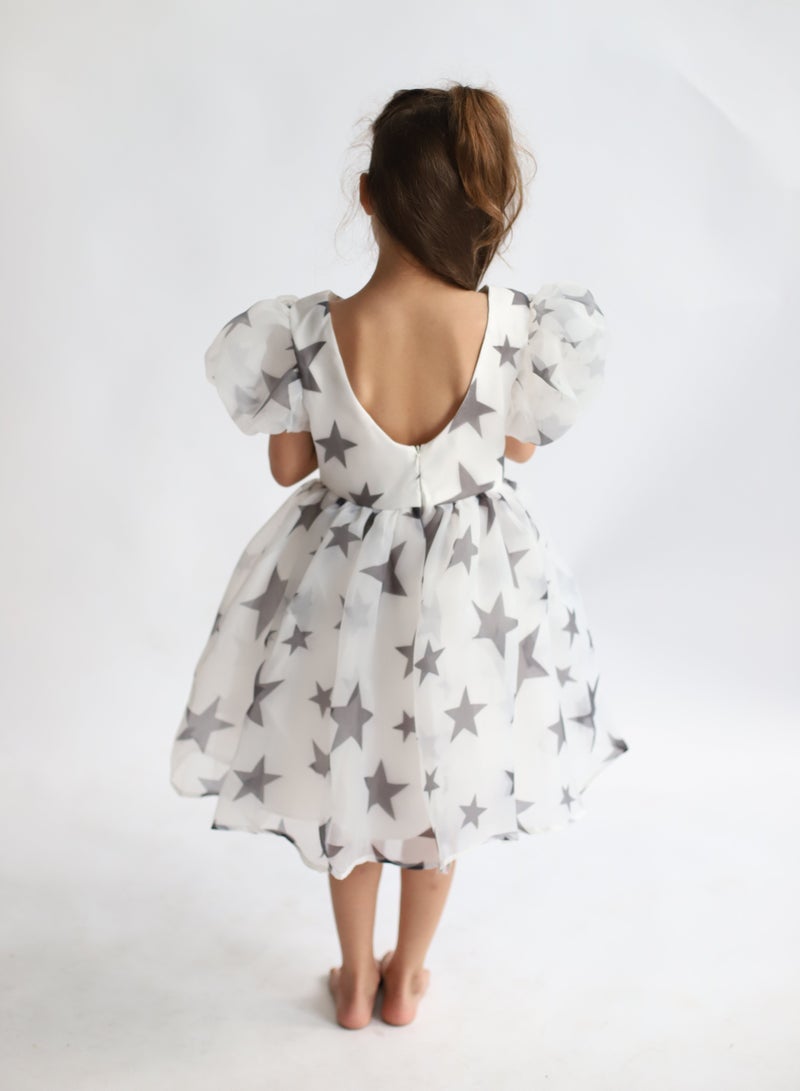 D'Daniela Starry Organza Dress - Image 4