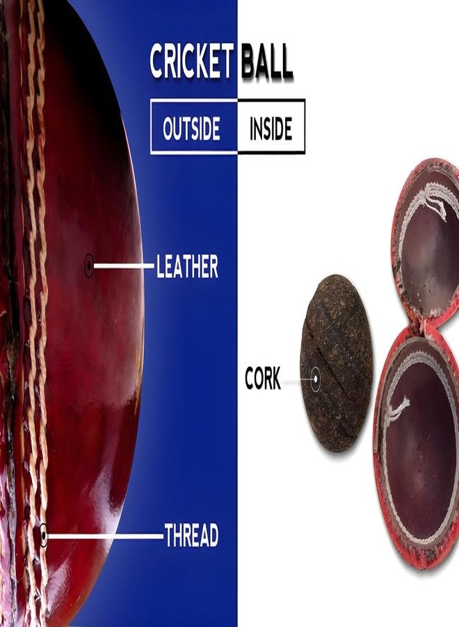 ساميلي كرة كريكيت ساميلي الحمراء الممتازة المصنوعة من الجلد للتدريب | كرة كريكيت من الدرجة الأولى مخيطة يدويًا للتدريب الداخلي والخارجي (عبوة من قطعة واحدة) - Image 2