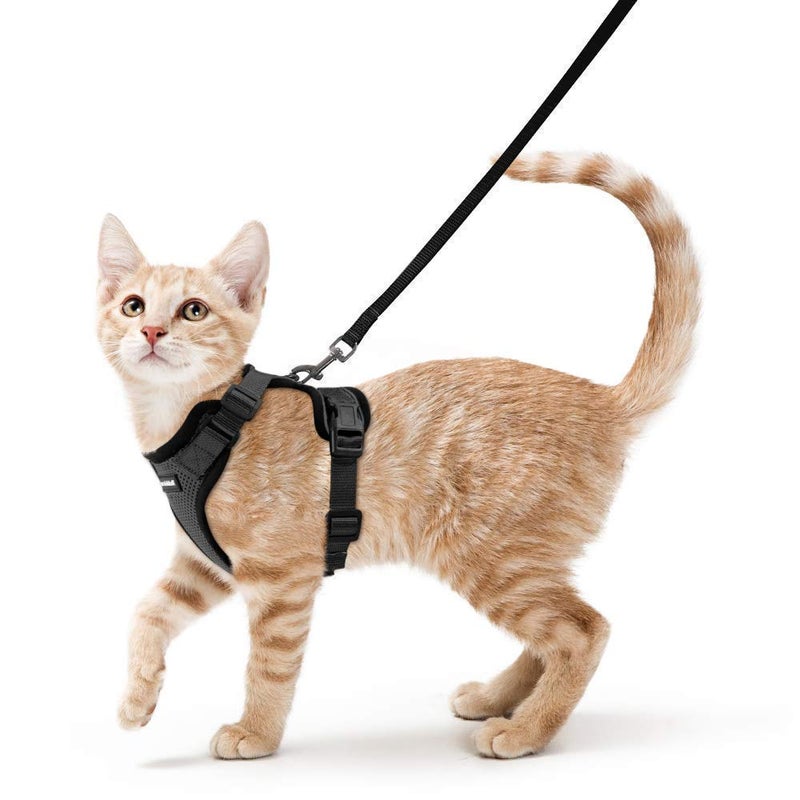 rabbitgoo Cat Harness and Leash for Walking, Escape Proof Soft Adjustable Vest Harnesses for Cats, Easy Control Breathable Reflective Strips Jacket, Black, S - Image 1