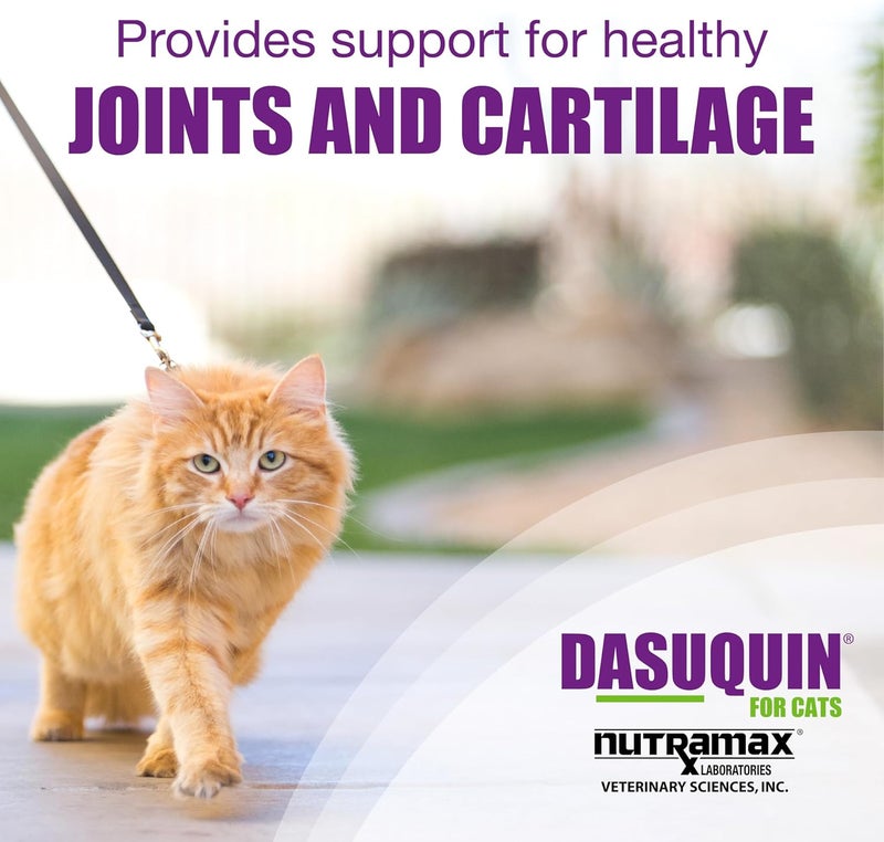 Nutramax Laboratories Dasuquin Joint Health Supplement for Cats - With Glucosamine, Chondroitin, ASU, Boswellia Serrata Extract, and Green Tea Extract, 84 Capsules - Image 3