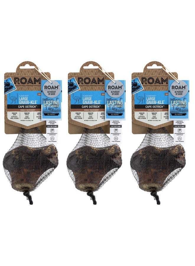 ROAM Pet Treats Large Gnaw-Kle Ostrich Knuckle Dog Chew for Medium to Large Dogs, 10.2 Ounce (Pack of 3) - Image 1