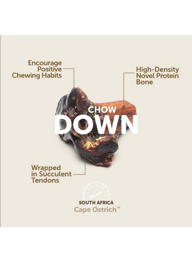 ROAM Pet Treats Large Gnaw-Kle Ostrich Knuckle Dog Chew for Medium to Large Dogs, 10.2 Ounce (Pack of 3) - Image 3