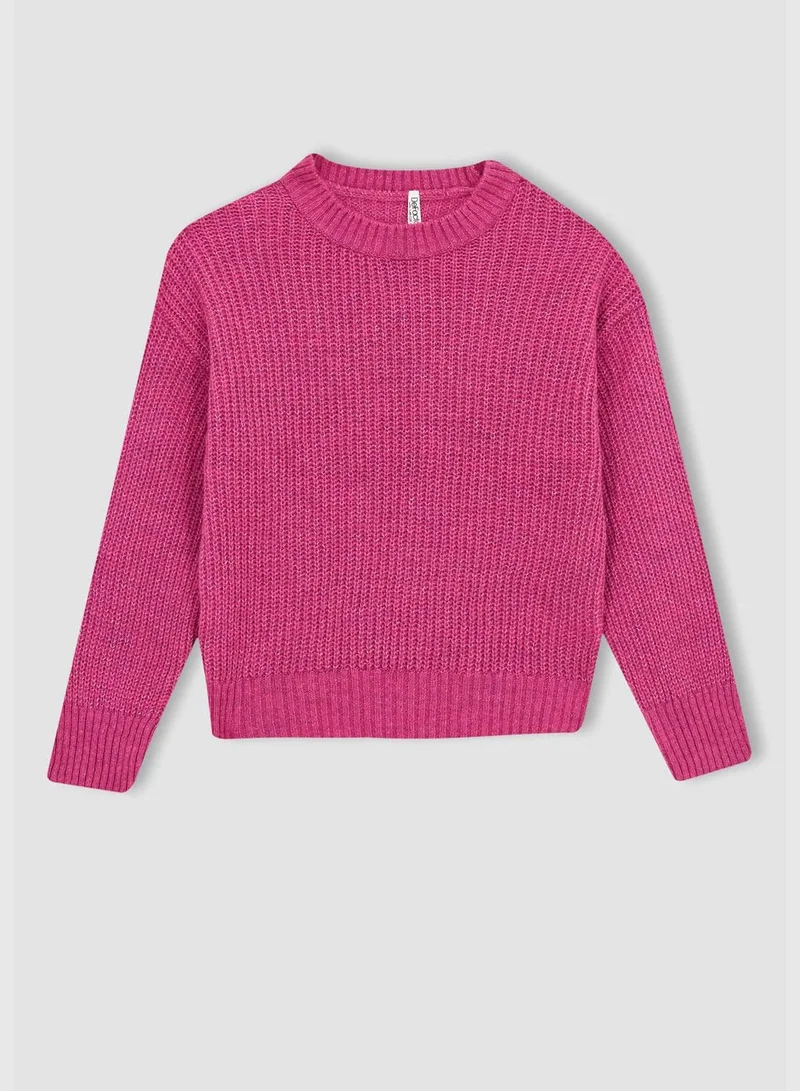 DeFacto Girl Crew Neck Long Sleeve Tricot Pullover