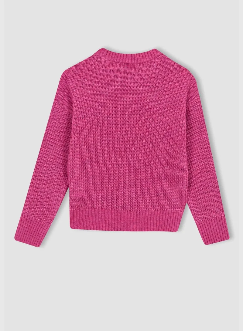 DeFacto Girl Crew Neck Long Sleeve Tricot Pullover