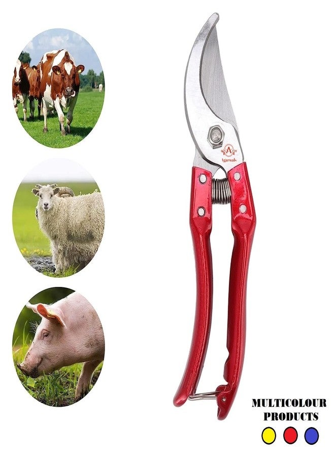 Agarwals Hoof Cutting Tool For Goat And Sheep - Image 2