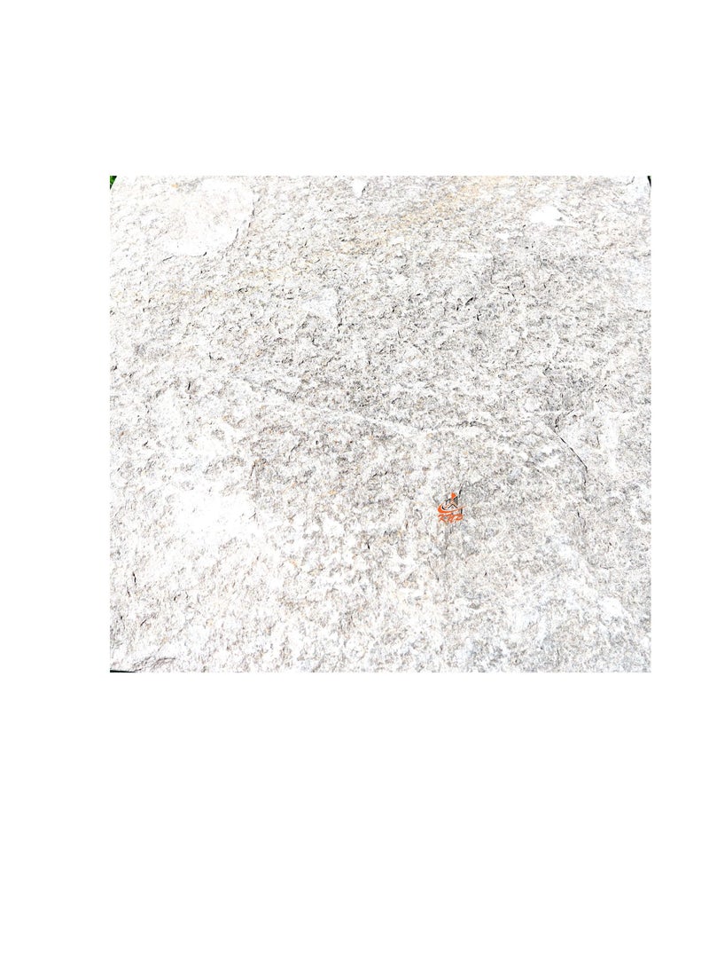 KNP Garden stepping stones Square 30x30cm greenish Gray set of 10 stones - Image 1