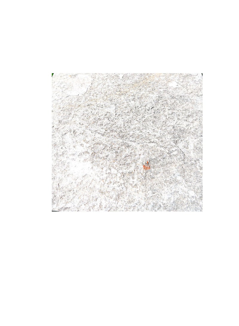 KNP Garden stepping stones Square 30x30cm greenish Gray set of 10 stones - Image 2